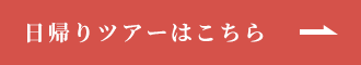 日帰りツアー